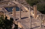 C29-Cyrene