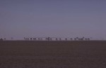 E25-Cattle