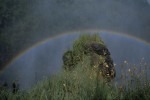 H7-Rainbow