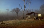 J16-Parana
