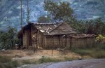 M7-Shack